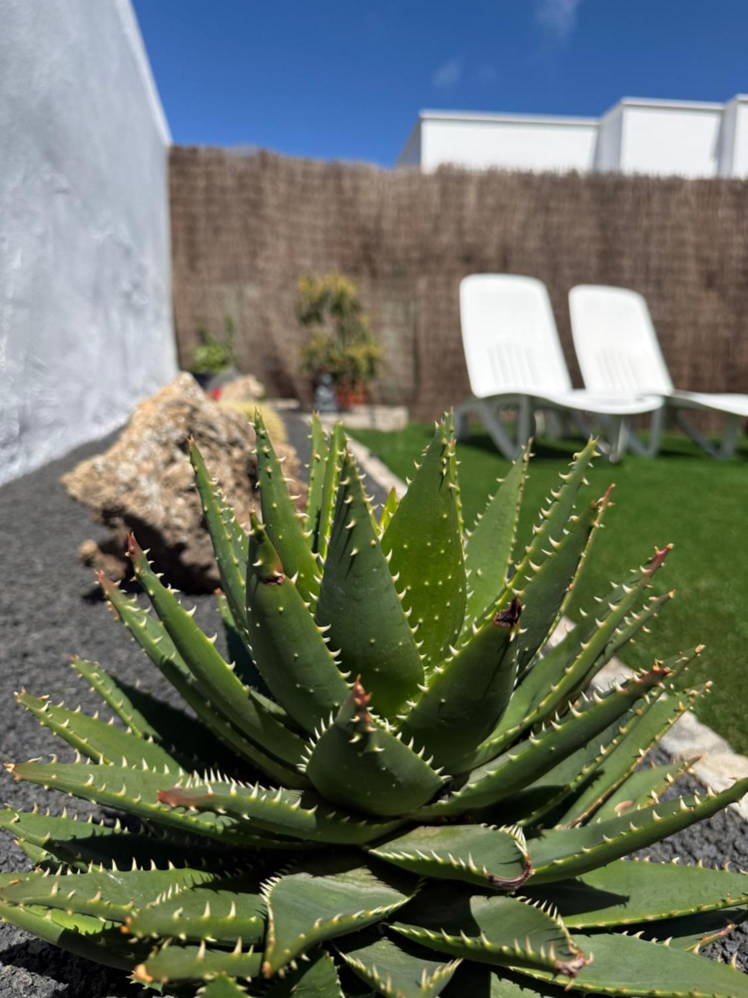 Casa Cira Διαμέρισμα La Costa Εξωτερικό φωτογραφία
